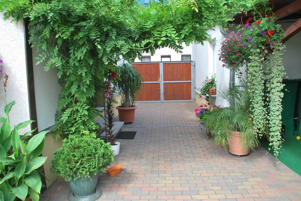 Pension Borna Exterior foto